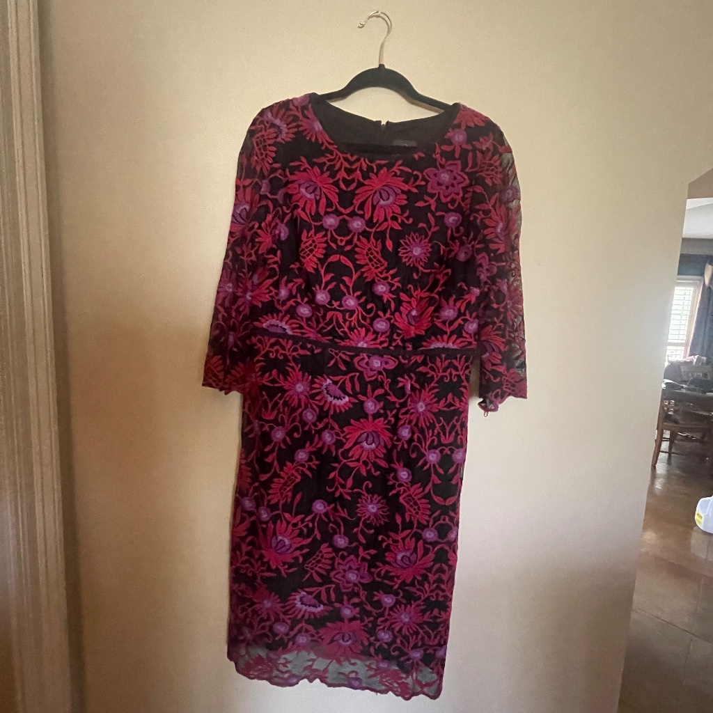 Adrianna Papell Lace Sheath With Gentle A-Line Flare